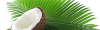 coconutt